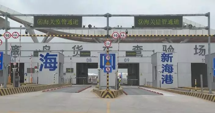 Hainan FTP to leverage big data, smart technologies to enhance clearance efficiency