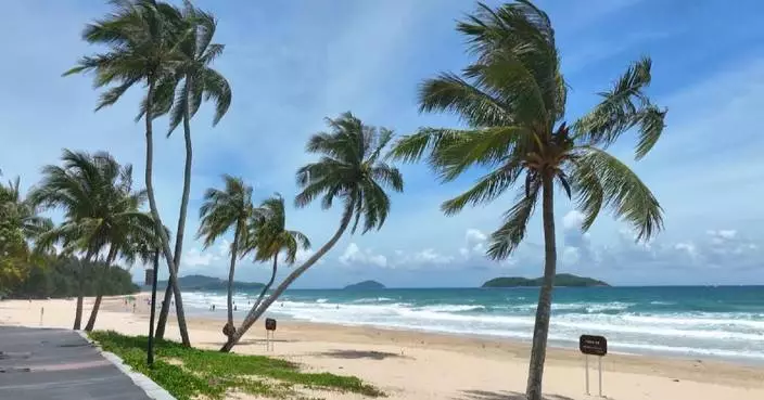 Hainan free trade port stands out as key gateway for China's opening-up in new era