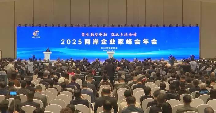 Cross-Strait CEO Summit opens in Nanjing
