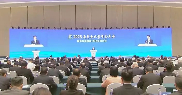 Business leaders discuss strengthening cross-Strait industrial innovation