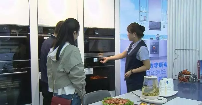 Expanding domestic demand top priority in 2026: Chinese economic official