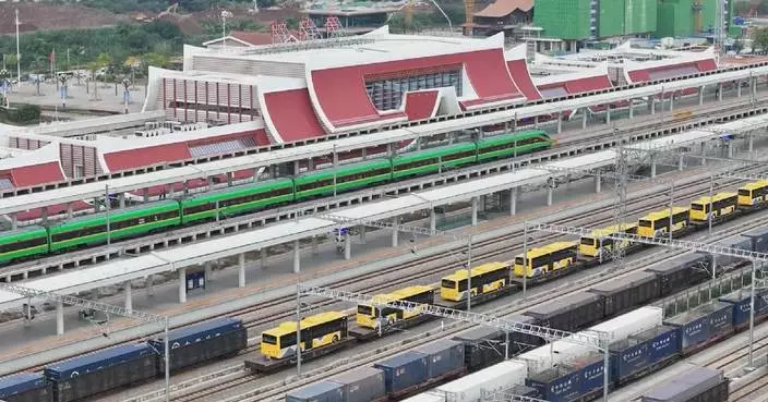 China-Laos Railway handles 16 mln tons of goods