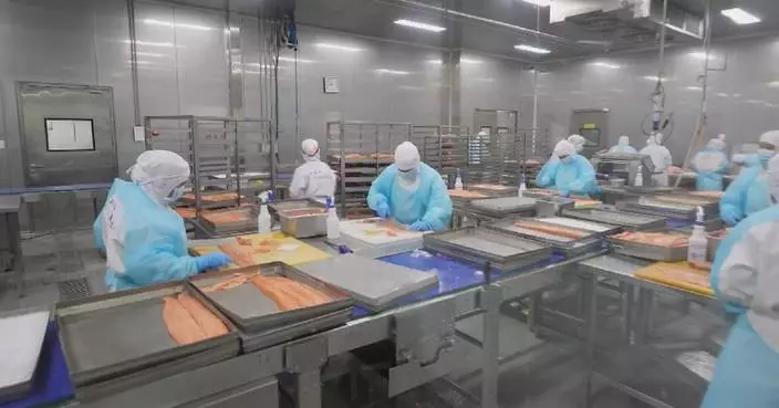 China’s agricultural exports expand during past five years