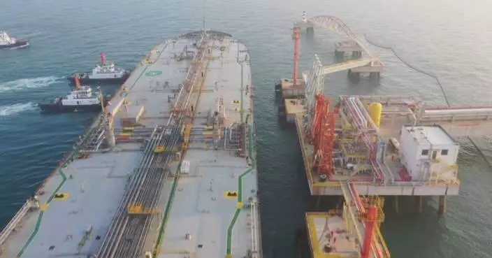 First batch of petrochemical raw materials enter Hainan’s Yangpu Port tariff-free