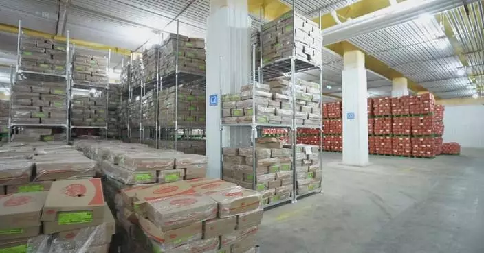 Hainan FTP's tax exemption policies save costs for enterprises