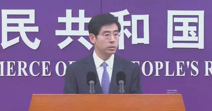 China strongly opposes European Commission's intensive investigations into Chinese firms: spokesman