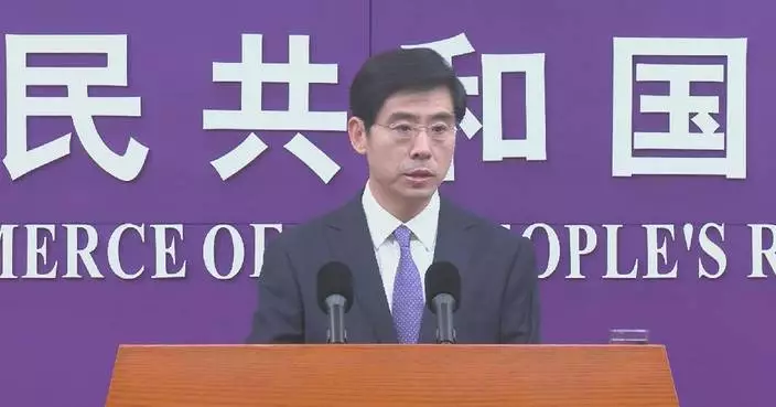 China approves some general license applications for rare earth exports: spokesman