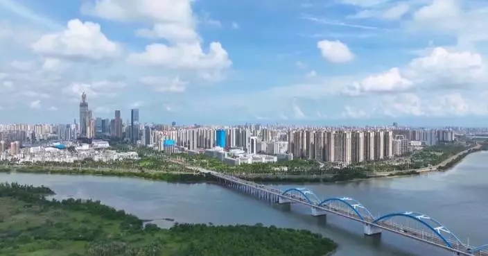 Int’l business executives express optimism about new opportunities in Hainan