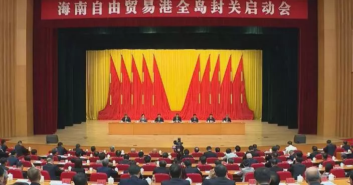 Chinese vice premier attends launch meeting of Hainan special customs operations