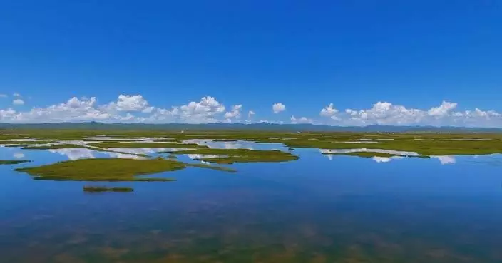 China makes notable progress in wetland protection in 2021-2025 period