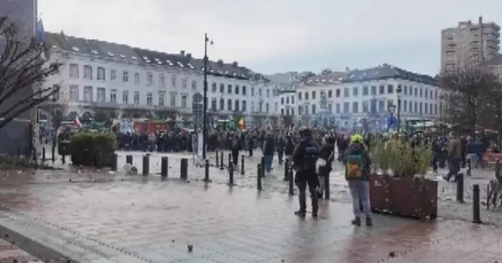 European farmers’ protests against Mercosur deal highlight EU division