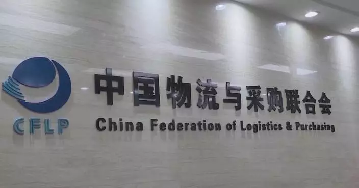 China’s bulk commodity market shows stability, momentum shift in 2025: report