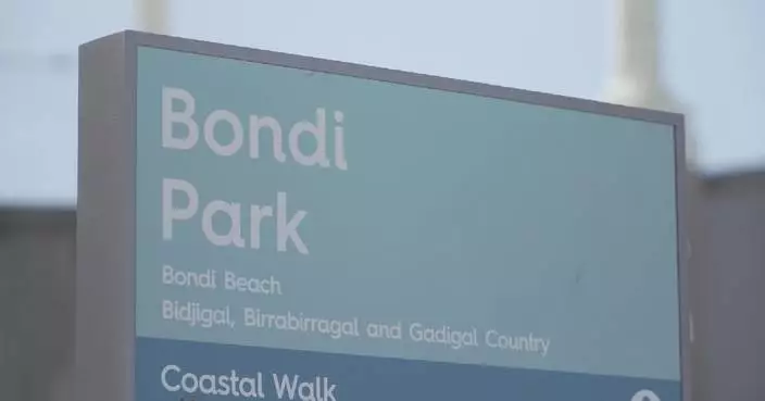 7 arrested in Sydney subscribe to extremist ideology: police