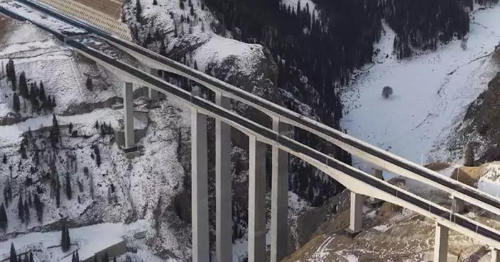 Key section of major trunk expressway in Xinjiang delivered