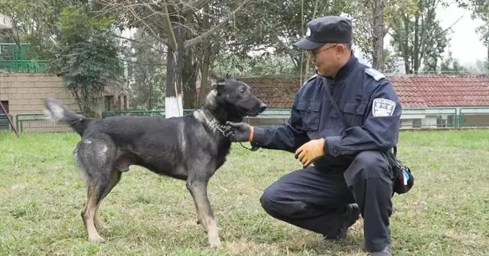 China promotes use of homegrown police dog breed