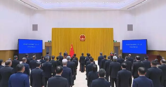 Senior Chinese officials pledge allegiance to Constitution