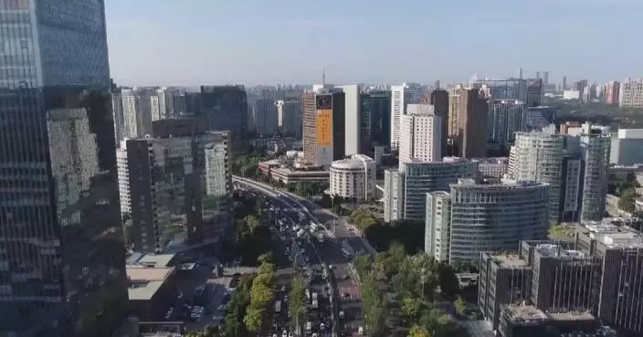 New foreign-invested firms up 16.9 pct in China in first 11 months