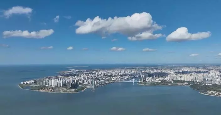 Hainan FTP to enhance regional, global trade cooperation: int’l observers