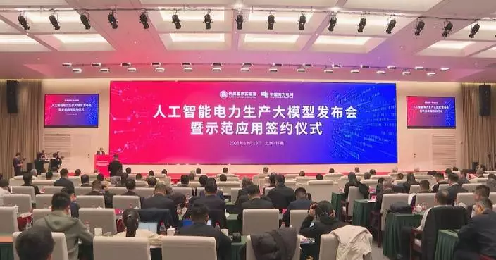 China unveils first native large model to empower grid management