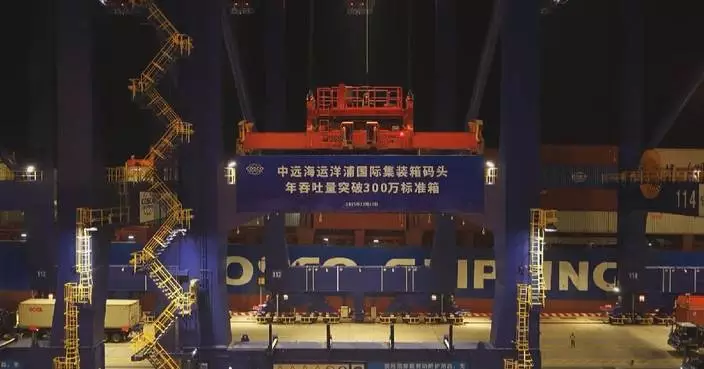 Hainan’s Yangpu port reaches new milestone in annual container throughput