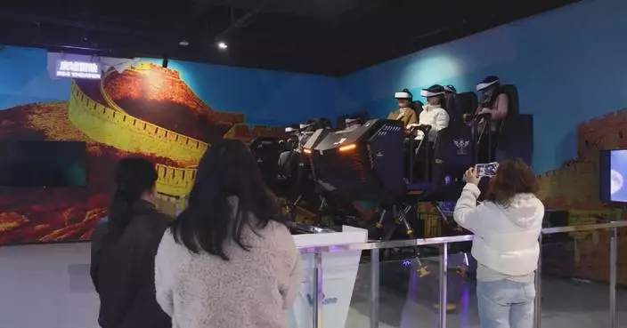 Chinese digital consumers value both practicality of products, sense of experience: report