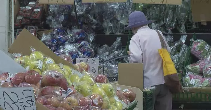 Japan cabinet poll finds over 70 percent of public see worsening price situation