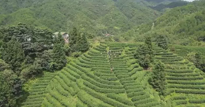 China’s soil, water conservation rate exceeds 73 pct during 2021-2025 period