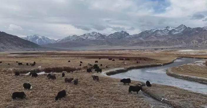 Xinjiang wetland showcases stunning winter scenery