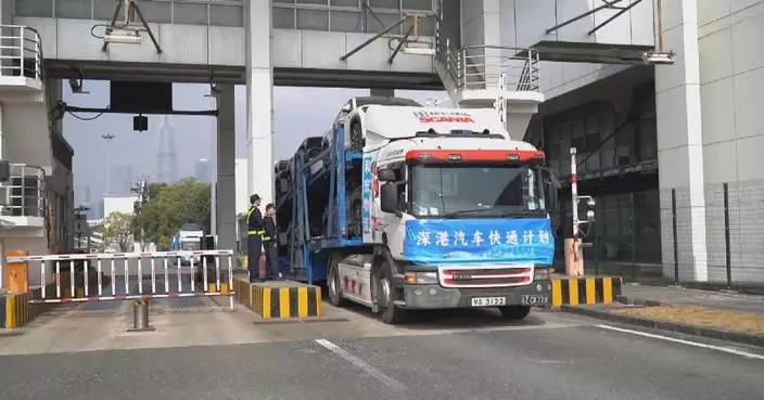 New plan launched to expedite clearance, licensing for NEVs in Hong Kong