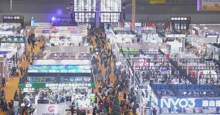 CIIE-linked fair brings global goods directly to Chinese consumers