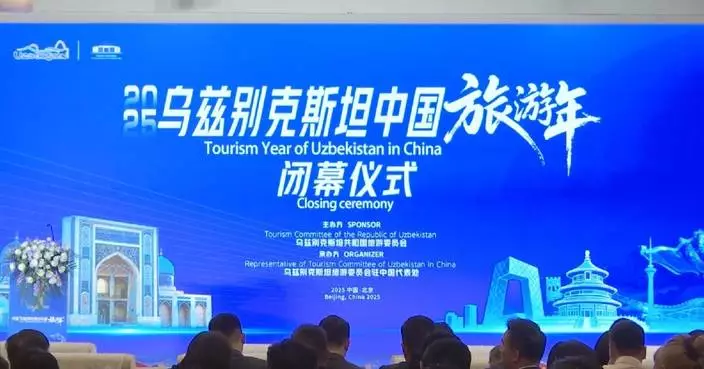 Year-long Uzbek-China tourism initiative hailed for boosting visitor numbers
