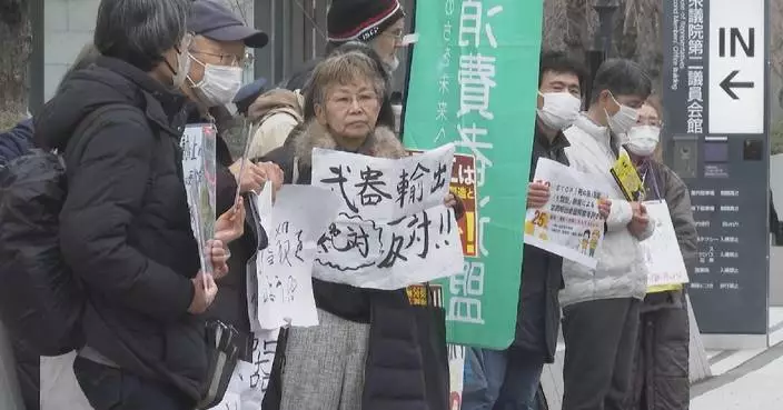 Japanese protesters rally against arms exports in Tokyo