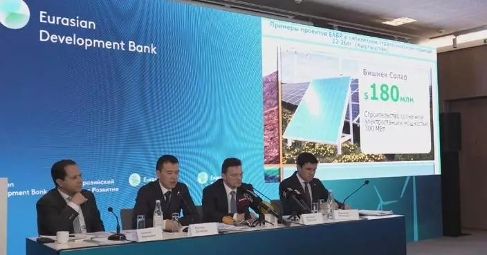 Chinese investment in Eurasia grows significantly over past decade: bank report