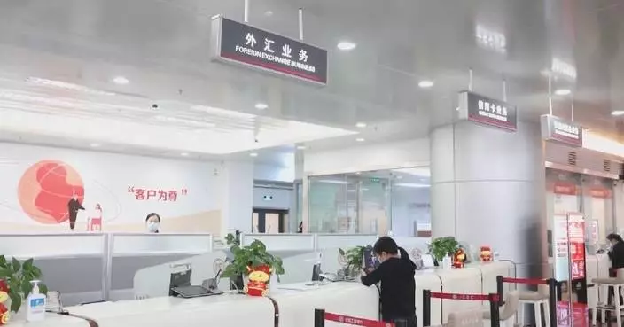 China's foreign exchange market transactions total 3.44 trln U.S. dollars in November