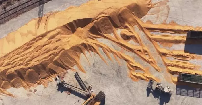 Autumn grain purchases exceed 200 mln tonnes in China