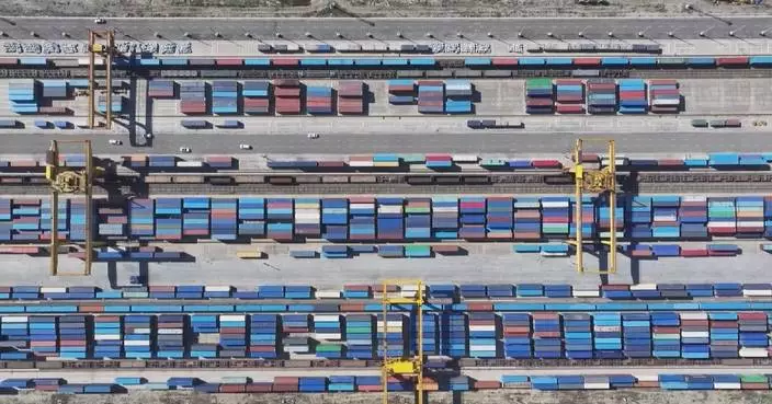 Xinjiang's Horgos Port handles over 42 mln tonnes cargo in Jan-Nov period