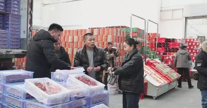 Markets in Xinjiang embrace shopping rush ahead of New Year