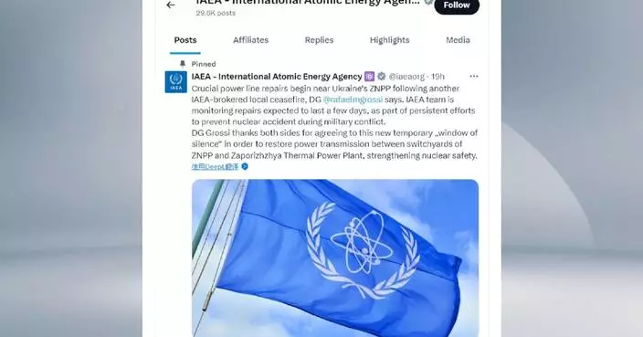 Power line repair begins near Zaporizhzhia nuclear plant under IAEA-brokered truce