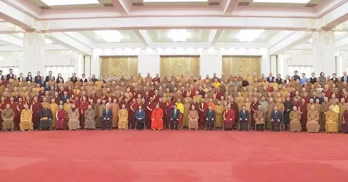 Top political advisor meets Chinese Buddhist delegates