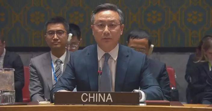 UN Security Council extends mandate of peacekeeping force in Golan Heights