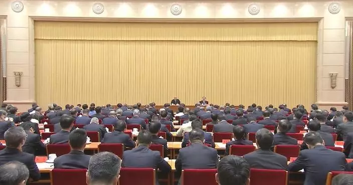 Xi calls for solidly advancing rural revitalization across the board