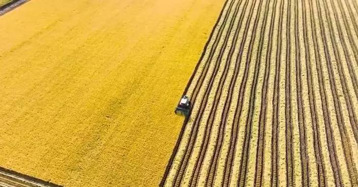 China’s central rural work conference outlines roadmap for rural revitalization