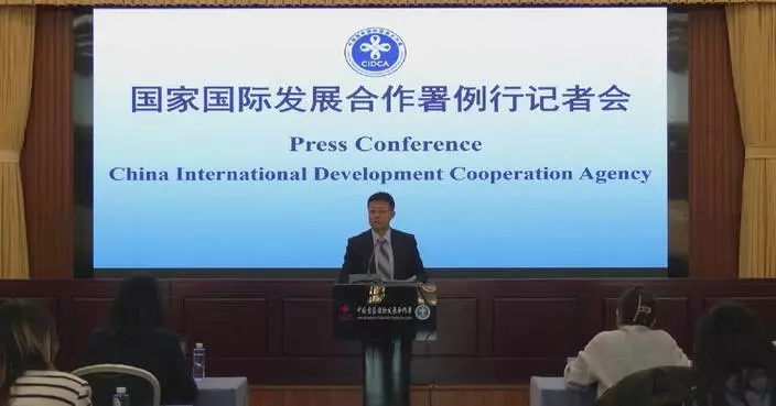 China launches "Digital South" to bridge tech divide: spokesman