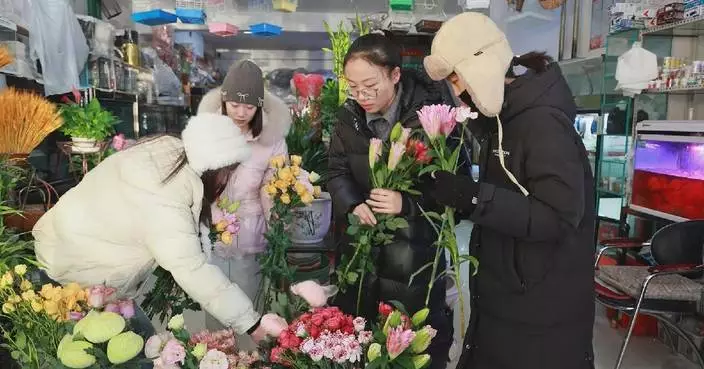 Efficient logistics keep Yunnan flowers fresh across China deep into winter