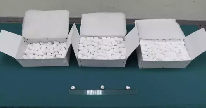 Hong Kong Customs Seizes 714 Endangered Bird Eggs Worth $10 Million at Airport