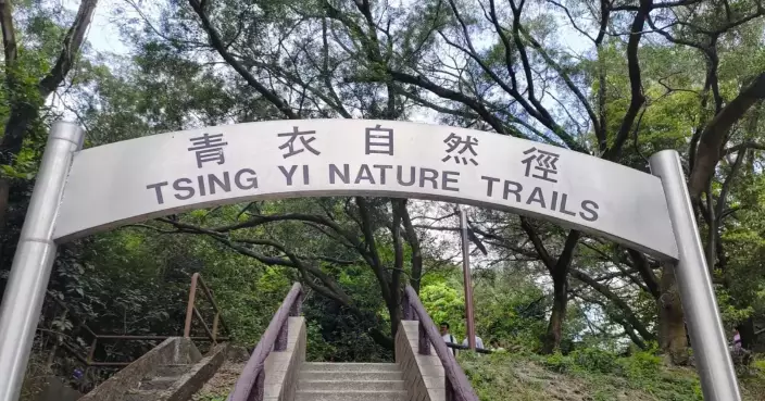 Hong Kong Reports No New Chikungunya Cases, Tsing Yi Trails Closed for Mosquito Control Efforts