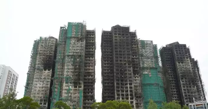 Government Task Forces Mobilize Support and Relief Efforts for Wang Fuk Court Fire Victims in Tai Po