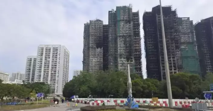 Government Mobilizes Support and Investigation Following Tai Po Wang Fuk Court Fire