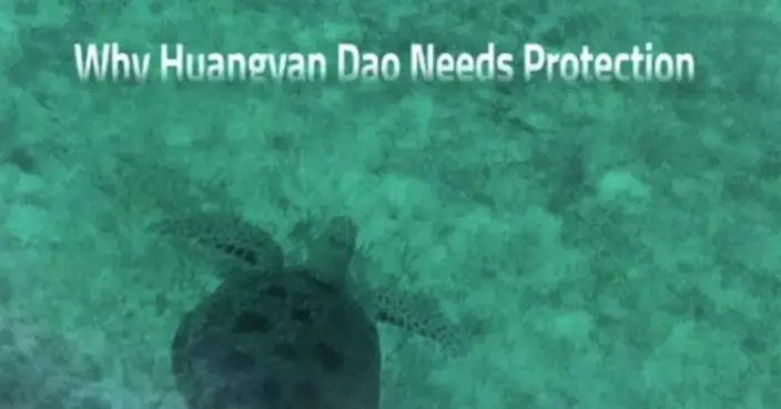 Release of the Latest Ecological Documentary on Huangyan Dao: An Unfading Commitment: Why Huangyan Dao Needs Protection
