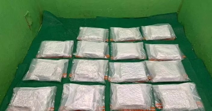 Hong Kong Customs Seizes 13kg of Cannabis Buds, Arrests 24-Year-Old Passenger at Airport